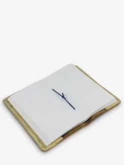 PAUL MARIUS Carnets|LeCarnet - S - Doré